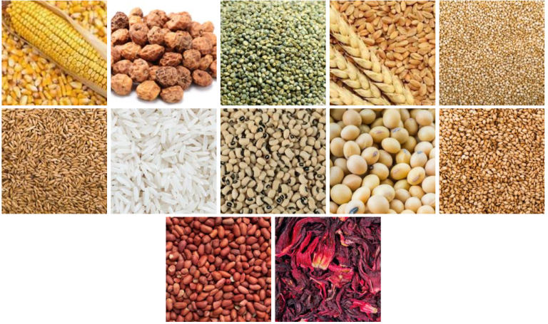 Grain Export & Trading